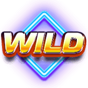 Disco Wild image