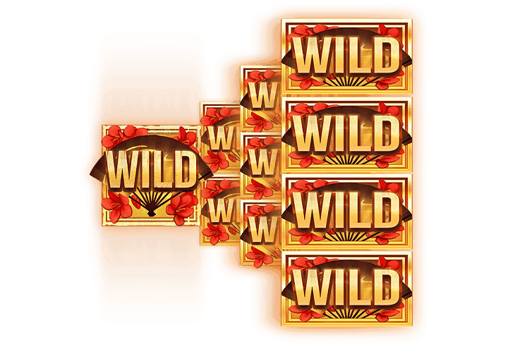 Wilds & Sliced Wilds image