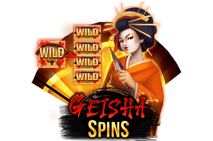 Geisha Spins image