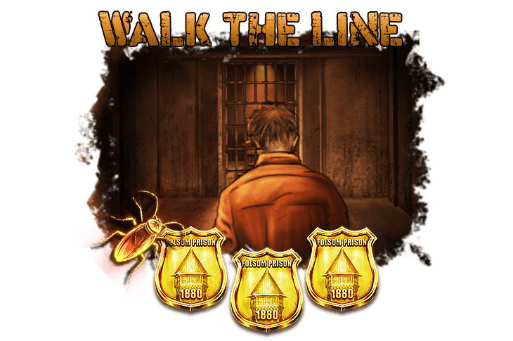Walk The Line image